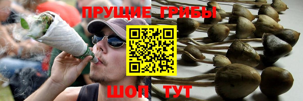 Галлюциногенные грибы мицелий  Галлюциногенные грибы прущие грибы  Вход с VPN  Нефтекамск 